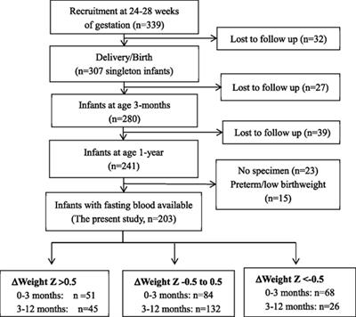 Early and Late Postnatal Accelerated Growth Have Distinct Effects on Metabolic Health in Normal Birth Weight Infants